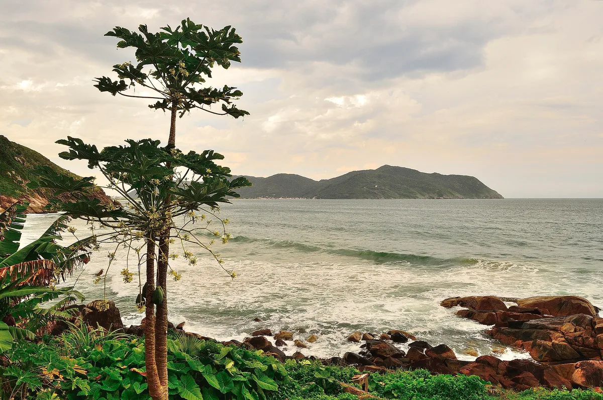 Plage du Saquinho, Florianópolis, Brazilian Atlantic, Brésil — 5