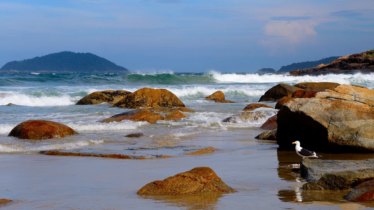 Plage du Saquinho, Florianópolis, Brazilian Atlantic, Brésil — 3