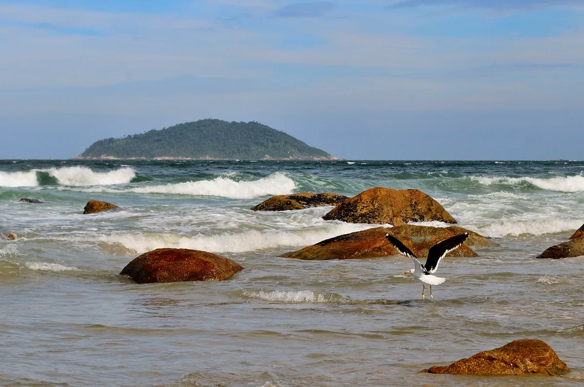Plage du Saquinho, Florianópolis, Brazilian Atlantic, Brésil — 2