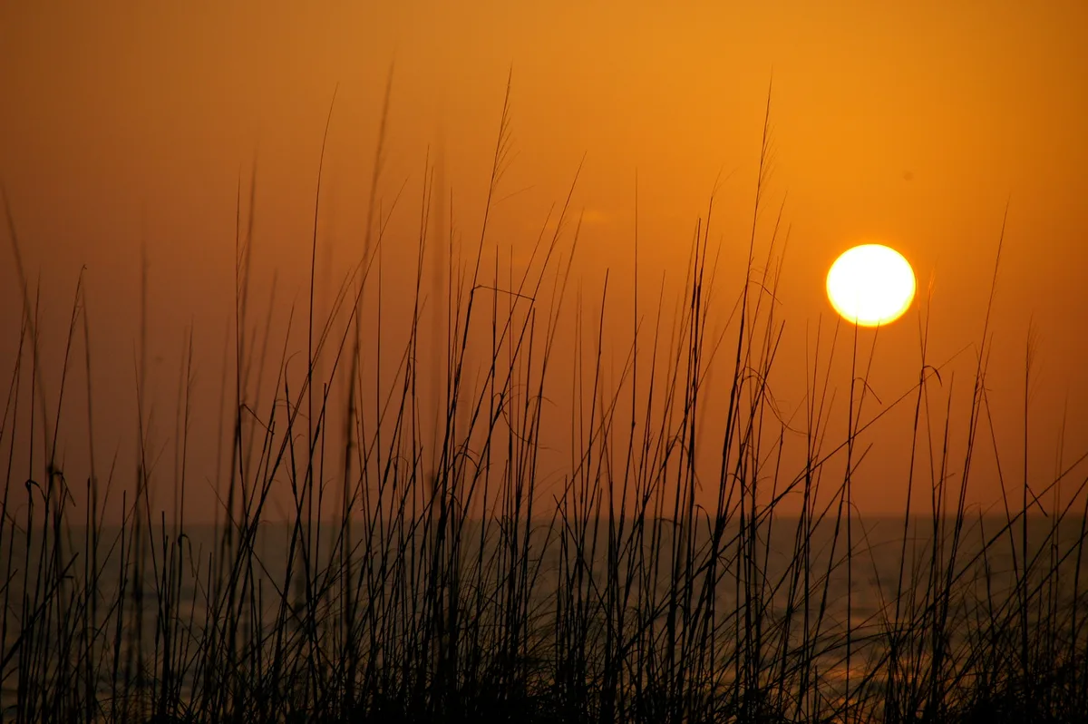Plage de Madeira, Madeira Beach, Florida, États-Unis — 6