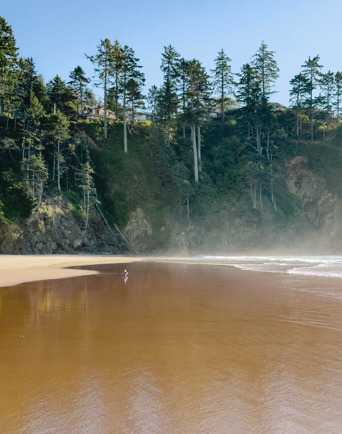 Proposal Rock Beach, Neskowin, Pacific Northwest, Verenigde Staten — 5