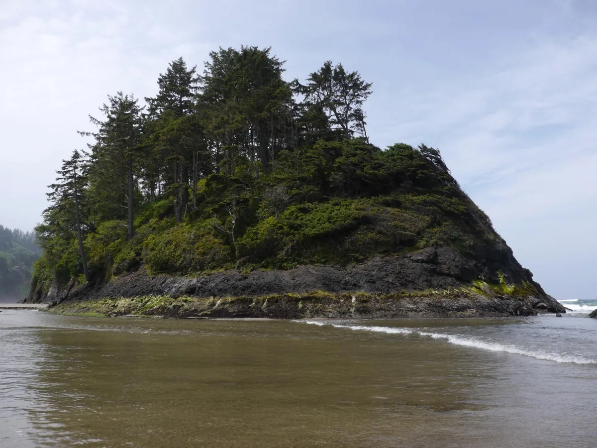 Proposal Rock Beach, Neskowin, Pacific Northwest, Verenigde Staten — 4