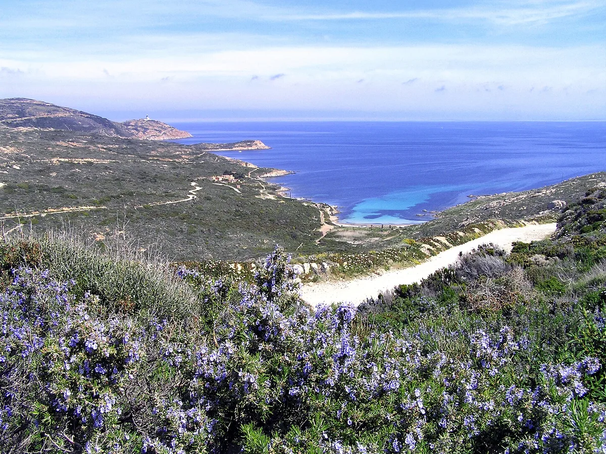 Plage de l'Alga, Calvi, Corsica, France — 3