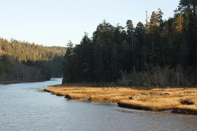 Big River Beach