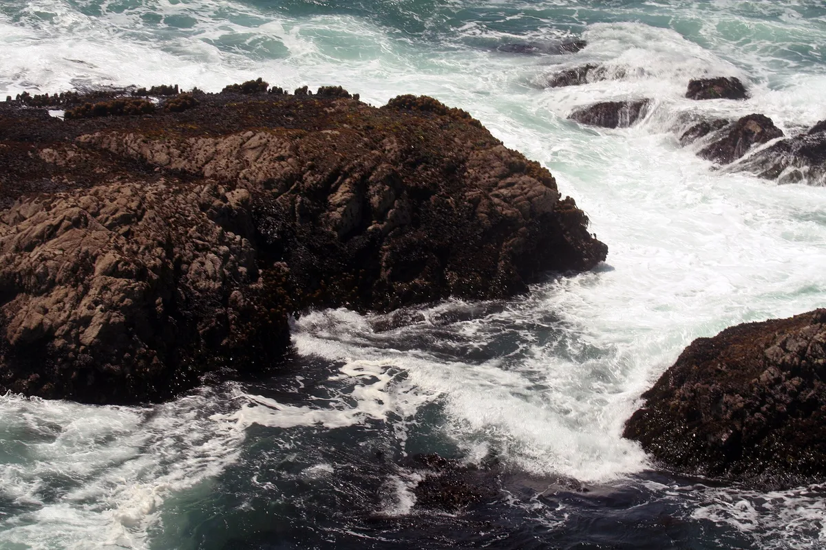 Big River Beach, Mendocino, California Coast, États-Unis — 6