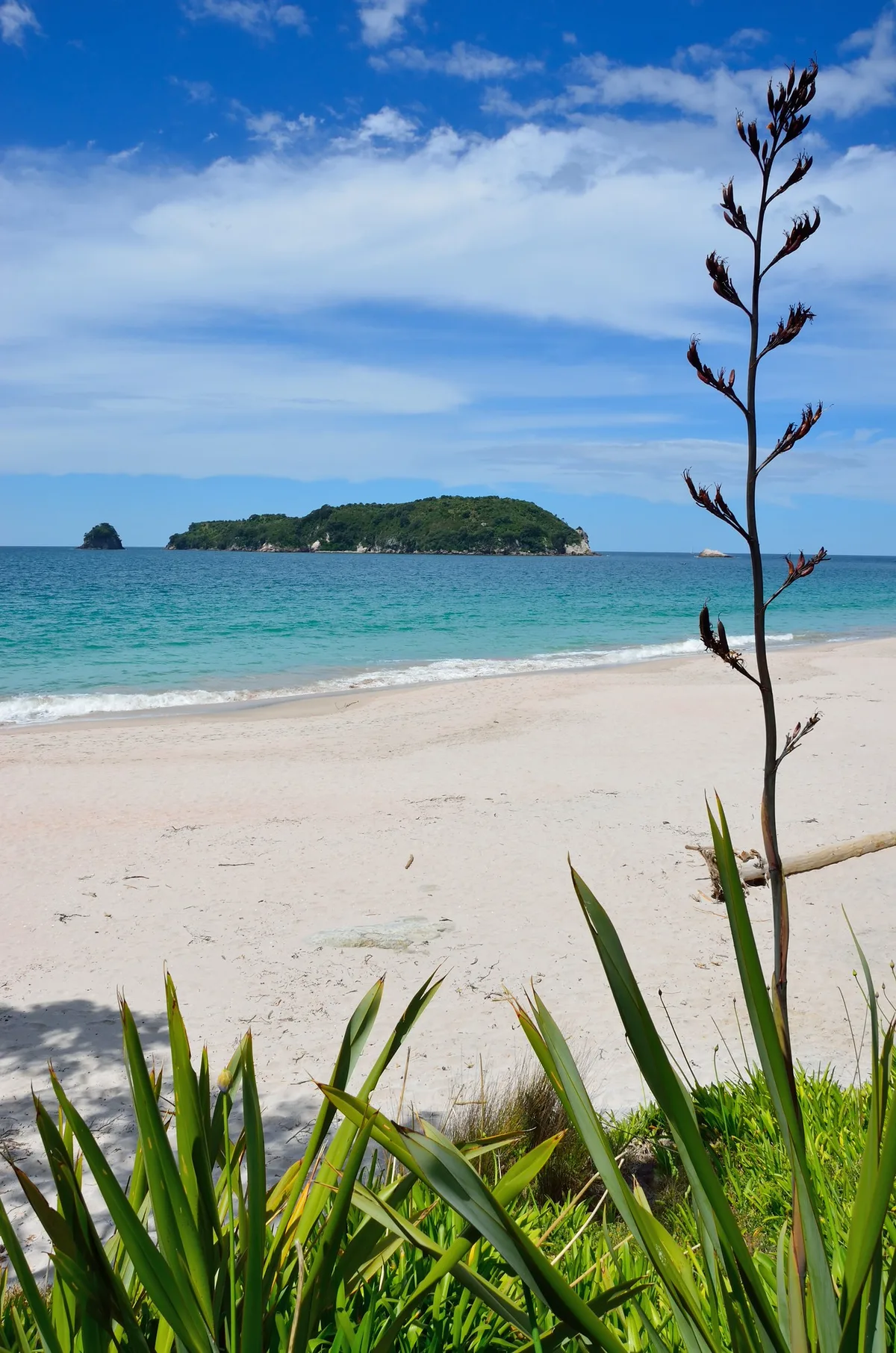 Hahei-Strand, Hahei, Waikato, Neuseeland — 5