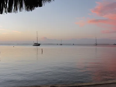 Sunset Cove Beach, Key Largo, Florida Keys, Vereinigte Staaten — 4