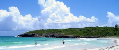 Plage de Mosquito, Isabel Segunda, Greater Antilles, Puerto Rico — 4