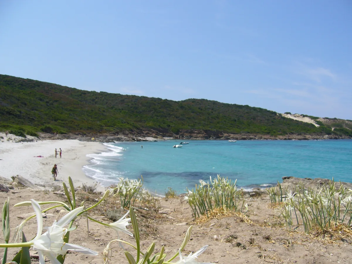 Plage de Trave, Santo-Pietro-di-Tenda, Corse, France