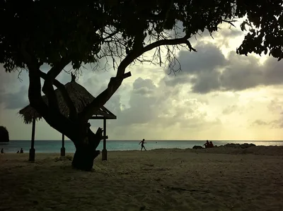 Daaibooi Beach