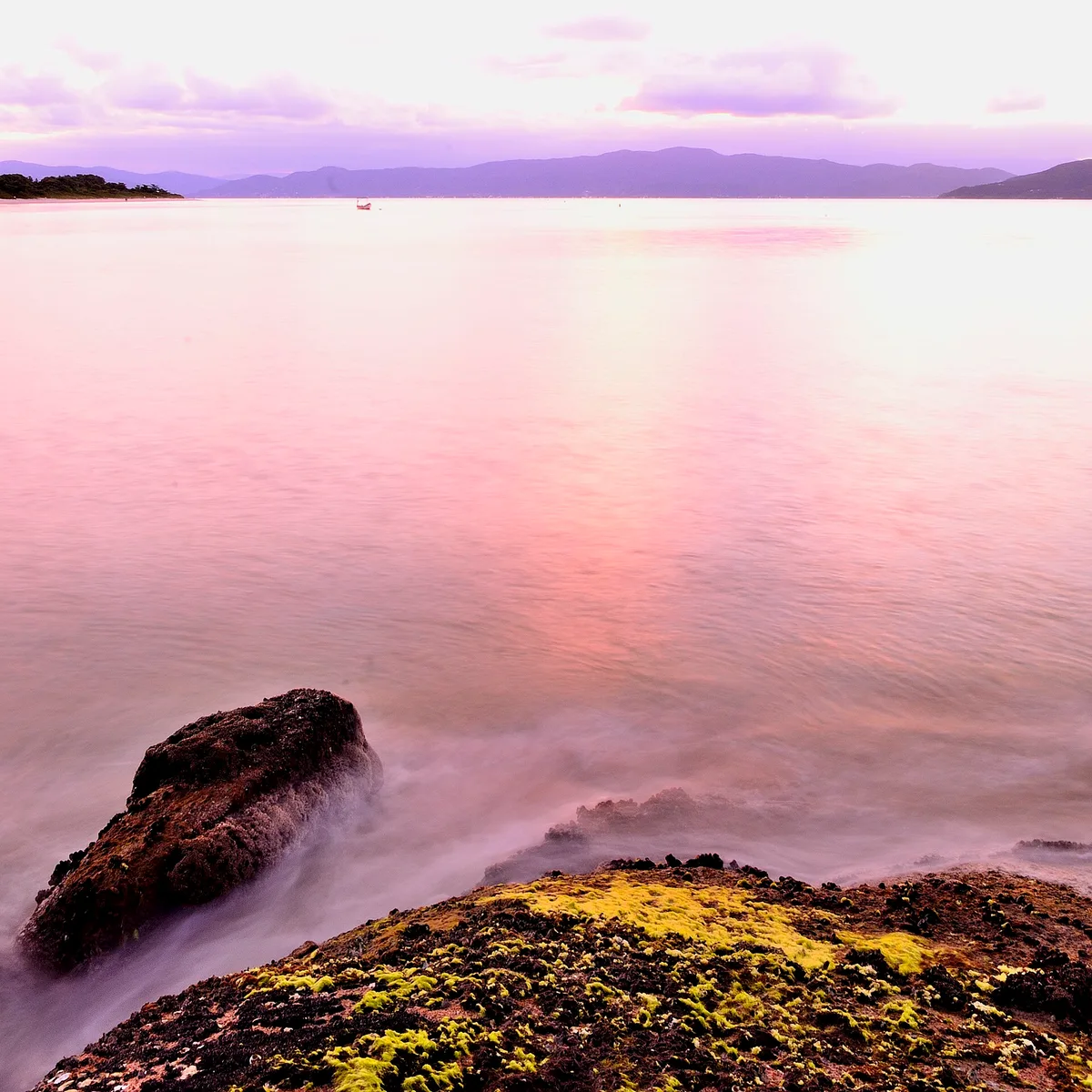 Plage de Daniela, Florianópolis, Brazilian Atlantic, Brésil — 6