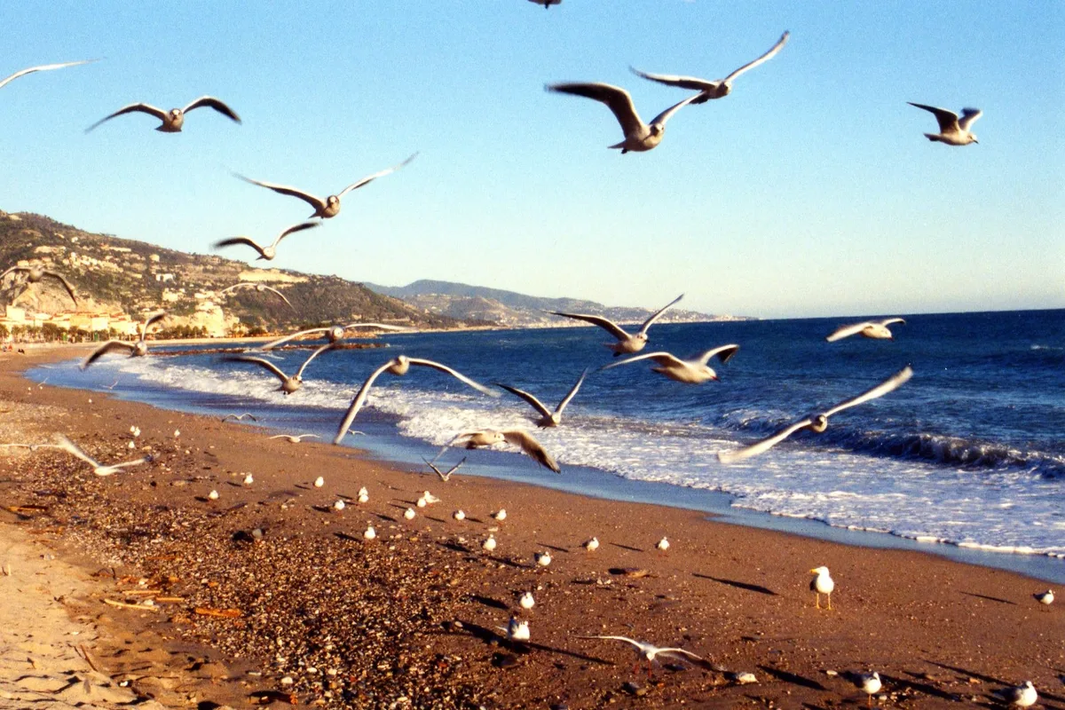 Borrigo Beach, Menton, Provence-Alpes-Côte d'Azur, France
