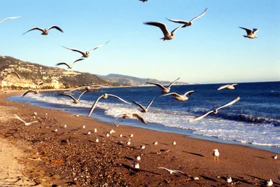 Borrigo Beach