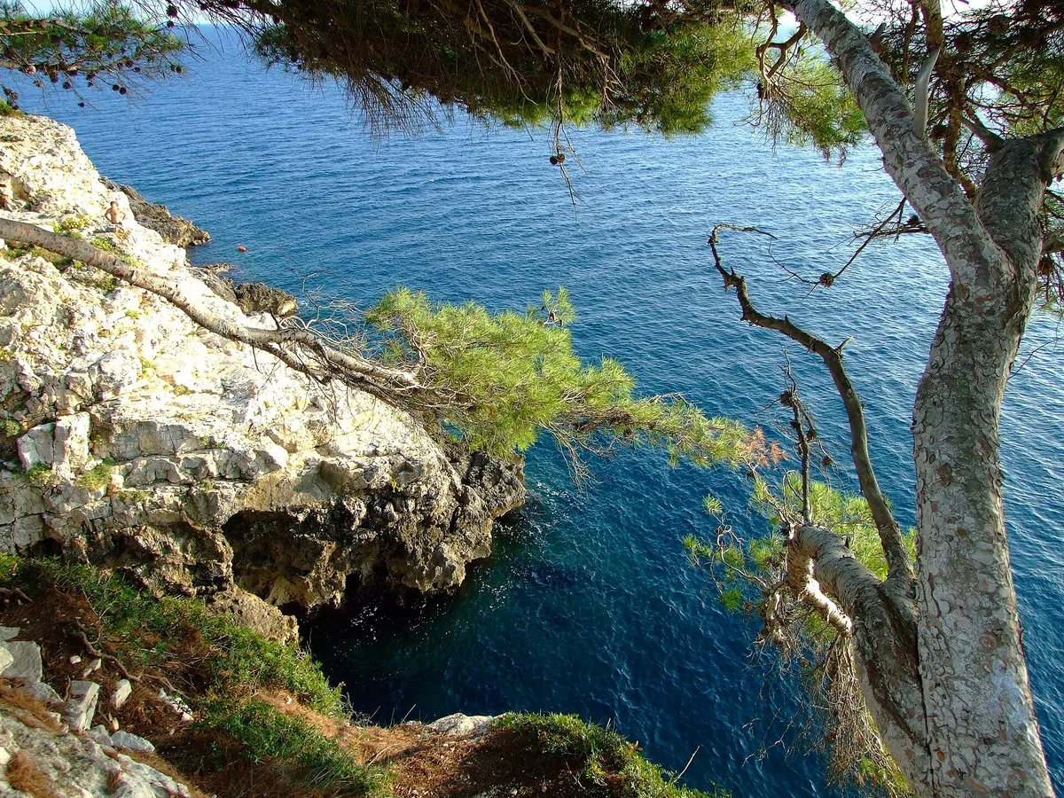 Plage de Brioni, Pula, Istria, Croatie — 3