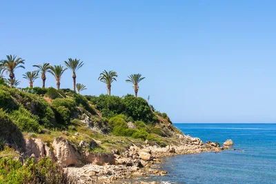 Playa de Kissonerga, Kissonerga, Paphos District, Chipre — 4