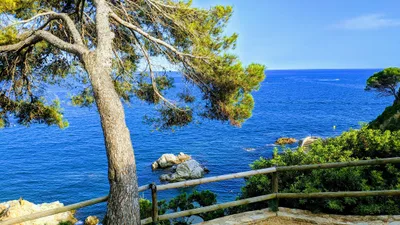 Cala Banys