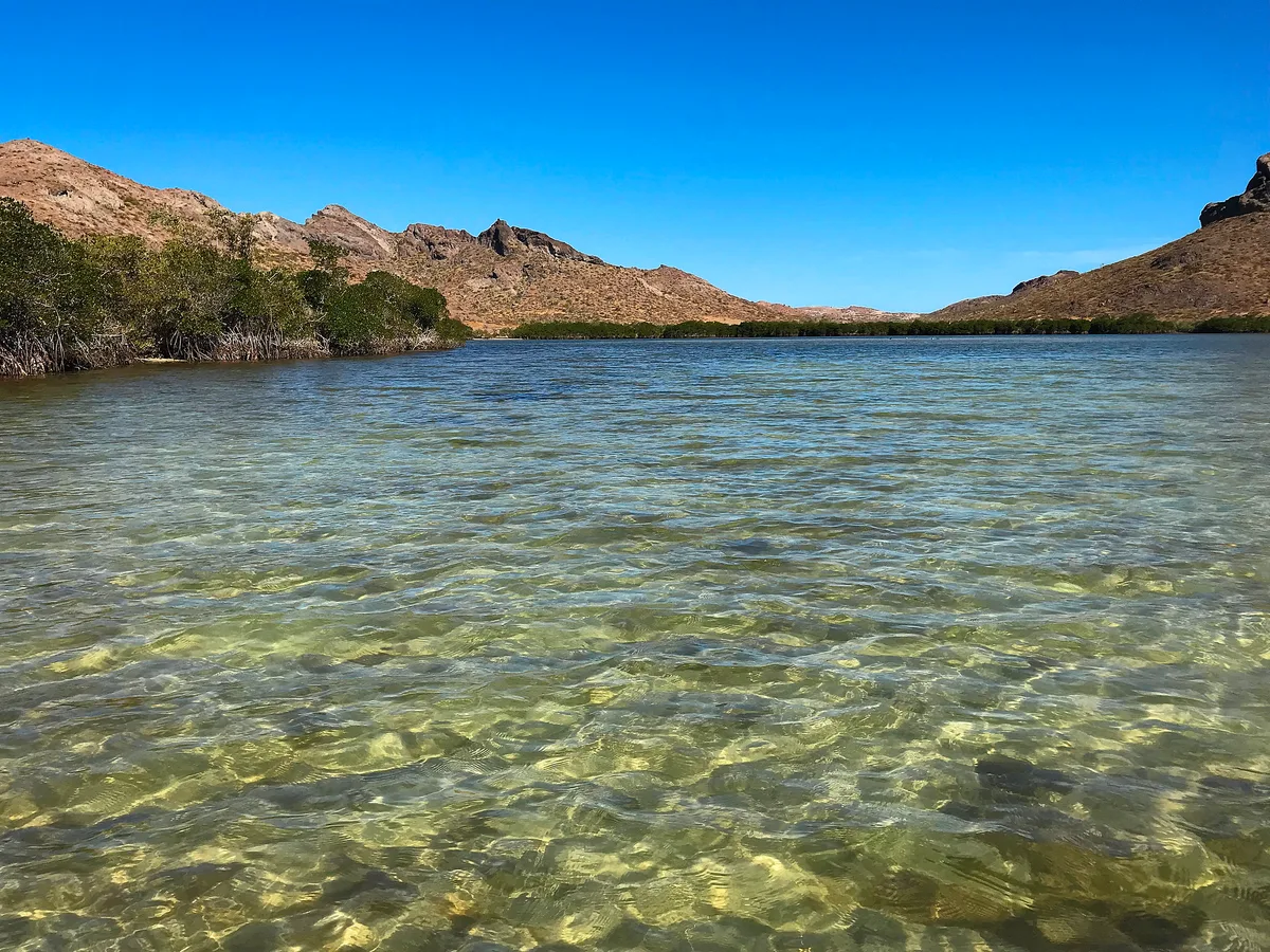 Plage de Balandra, La Paz, Baja California Sur, Mexique — 5