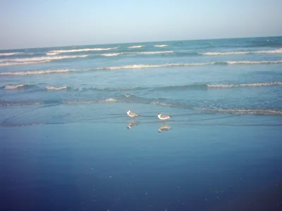 North Padre Island Beach — Bob Hall Pier, Corpus Christi (Nueces County), US Gulf Coast, United States — 2