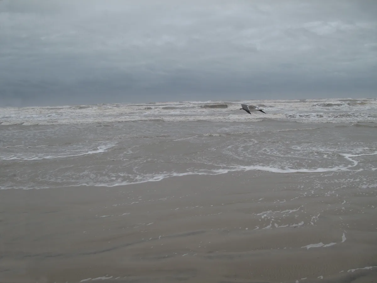 North Padre Island Beach — Bob Hall Pier, Corpus Christi (Nueces County), US Gulf Coast, United States — 4