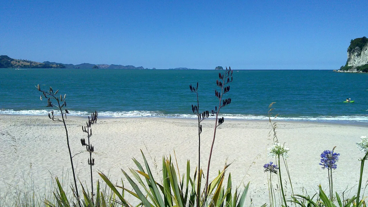 Cooks Beach, Cooks Beach, Waikato, Neuseeland — 4