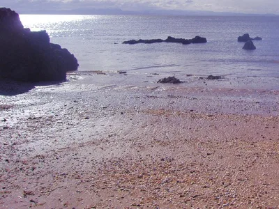 Cooks Beach, Cooks Beach, Waikato, Neuseeland — 6