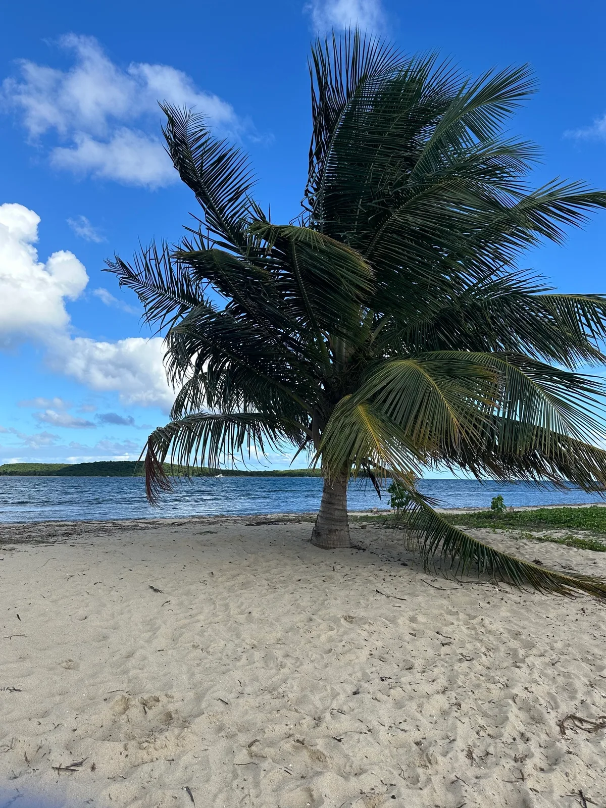 Plage de Fuertes, Isabel Segunda, Greater Antilles, Puerto Rico — 4