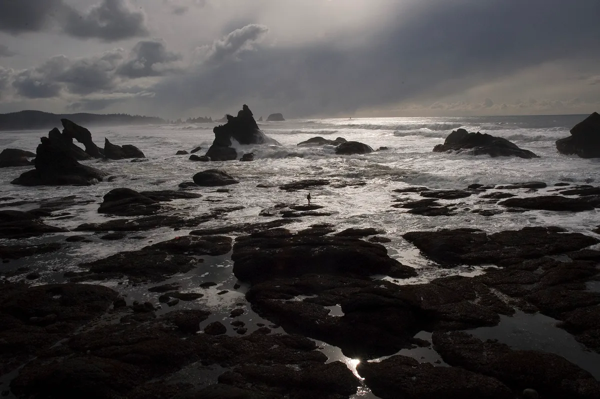 Shi Shi Beach, Clallam County, Pacific Northwest, Stati Uniti