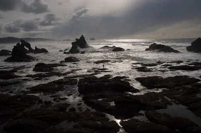 Shi Shi Beach