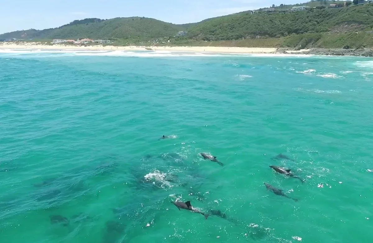 Plage de Keurboomstrand, Bitou, Garden Route, Afrique du Sud — 2