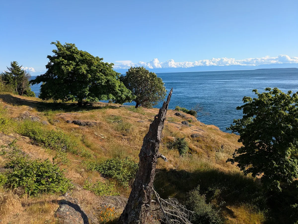 Deadman Bay, Friday Harbor, US Pacific Northwest, Vereinigte Staaten — 6