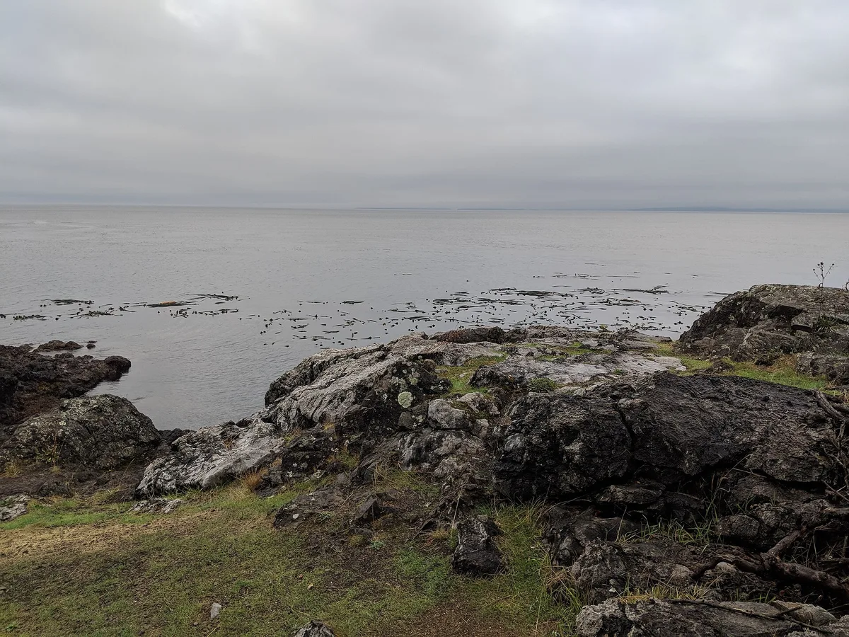 Deadman Bay, Friday Harbor, US Pacific Northwest, Vereinigte Staaten — 4
