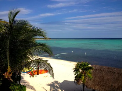 Bahía Solimán