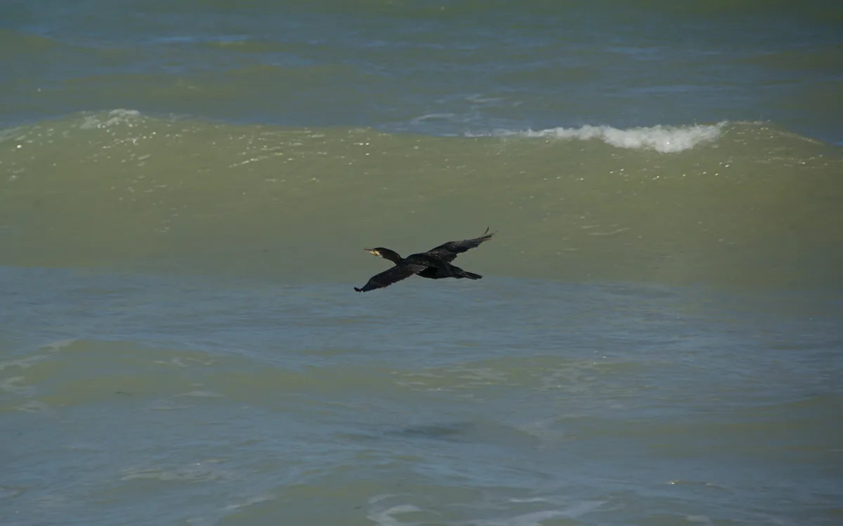 Vama Veche Beach, Limanu, Black Sea Coast, Romania — 2