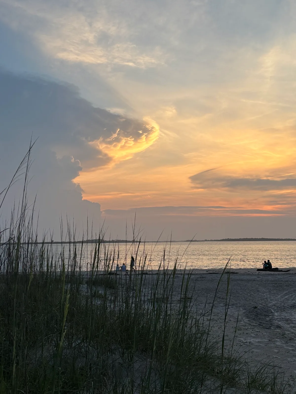 Tybee Island — Polk Street Beach Access, Tybee Island, US East Coast, États-Unis — 3