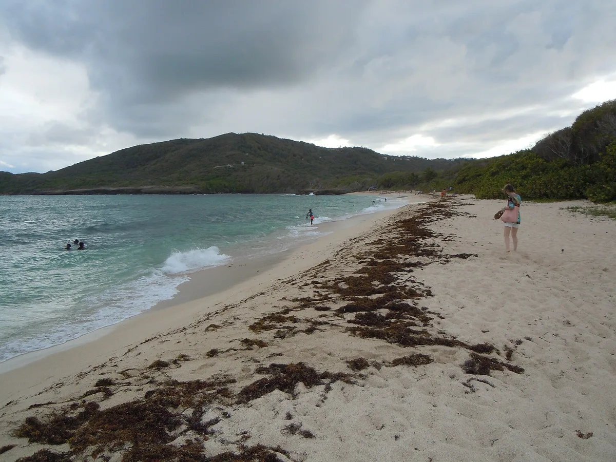 Anse Baleine-Strand, Le Marin, Martinique, Frankreich — 3