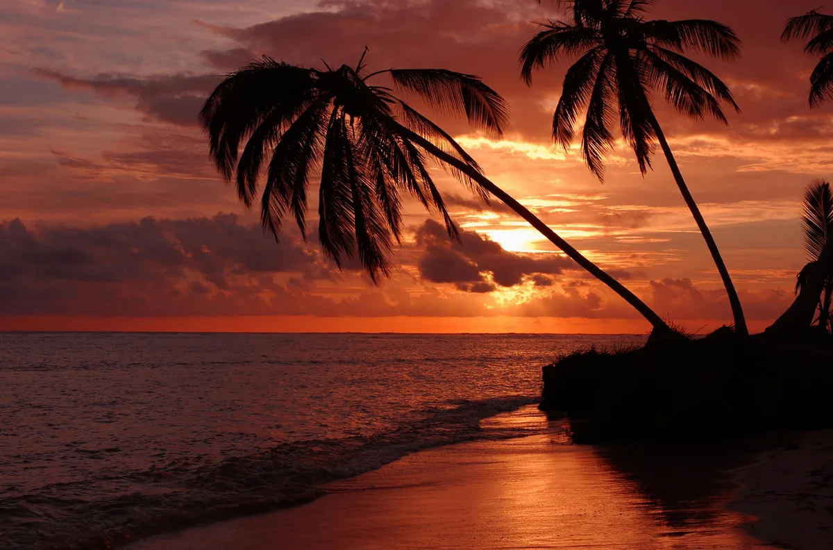 Plage de Sun Bay, Esperanza, Greater Antilles, Puerto Rico — 4