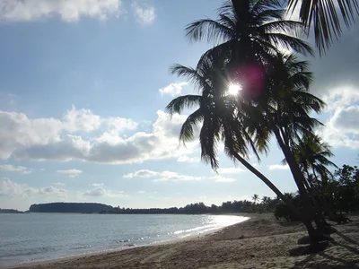 Plage de Sun Bay, Esperanza, Greater Antilles, Puerto Rico — 3