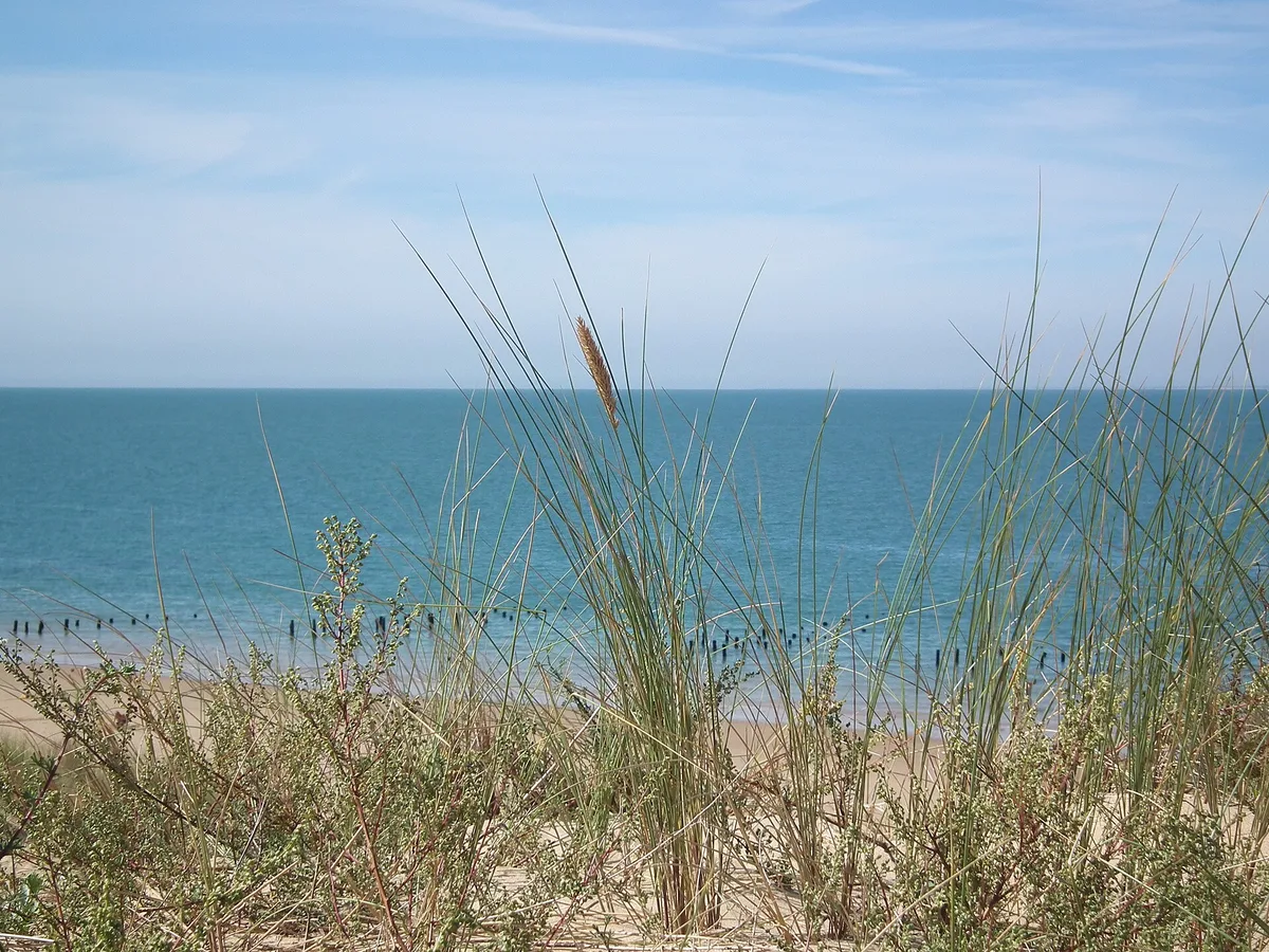 Plage de Boyardville, Boyardville, Nouvelle-Aquitaine, France — 4