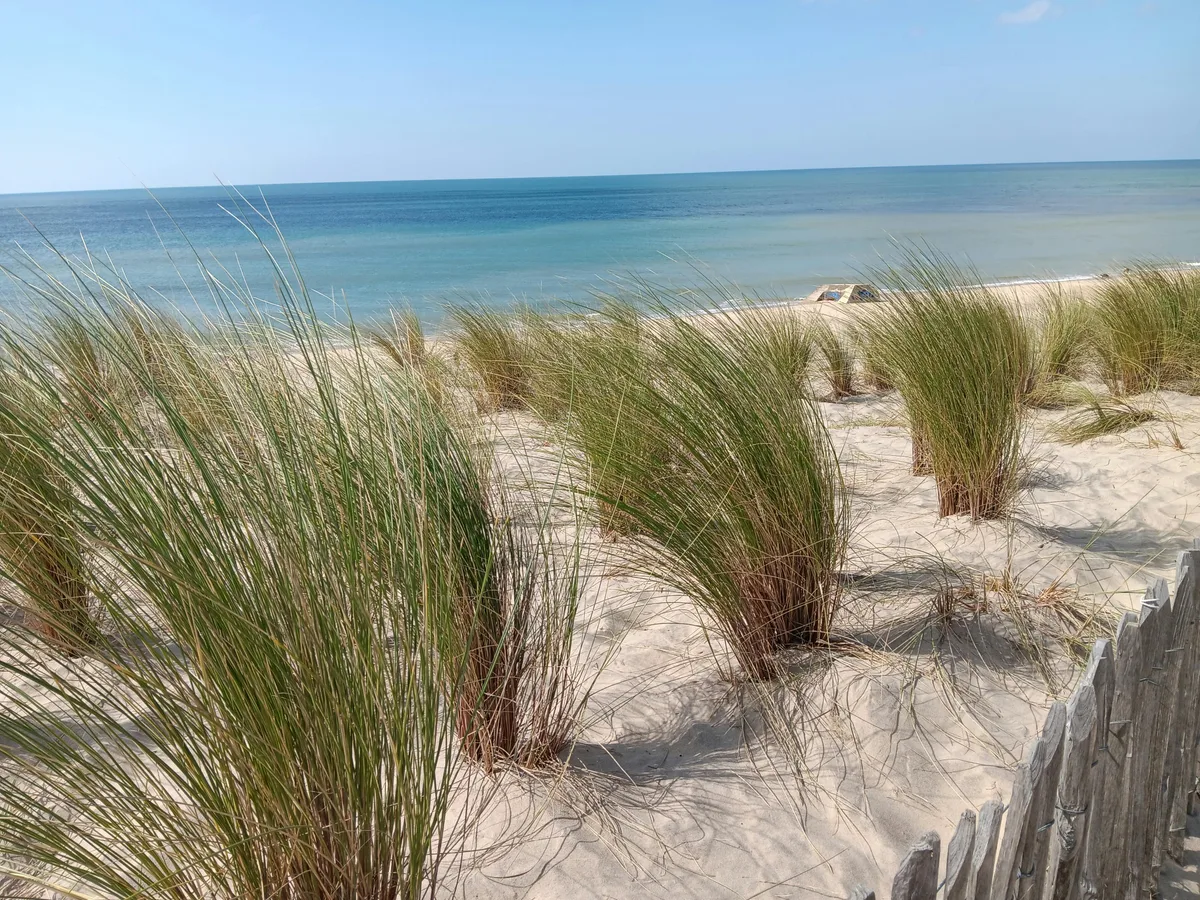 Plage du Truc Vert, Lège-Cap-Ferret, Nouvelle-Aquitaine, France — 5