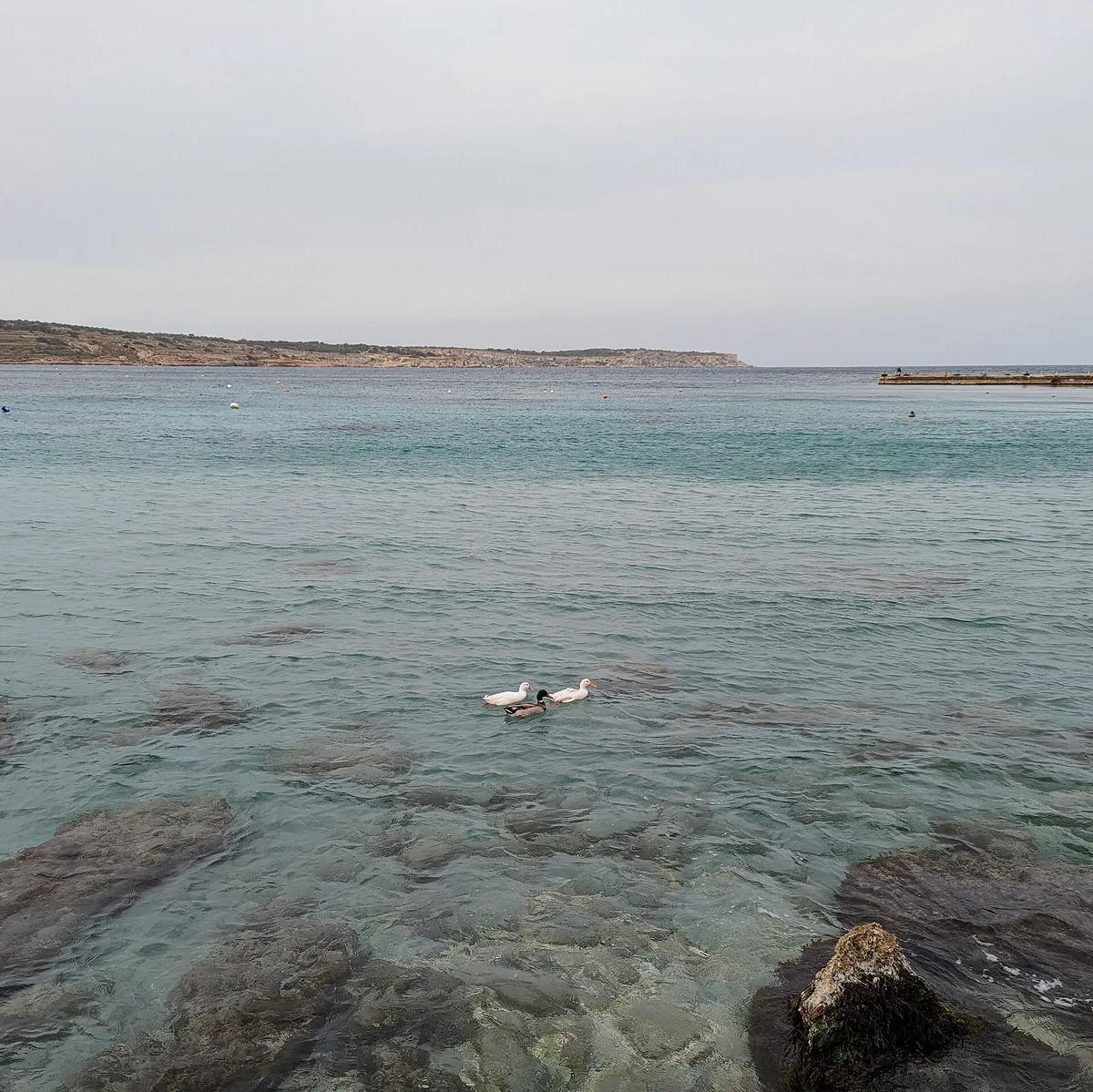 Mellieħa Bay Beach, Mellieħa, Maltese Islands, Malta — 4
