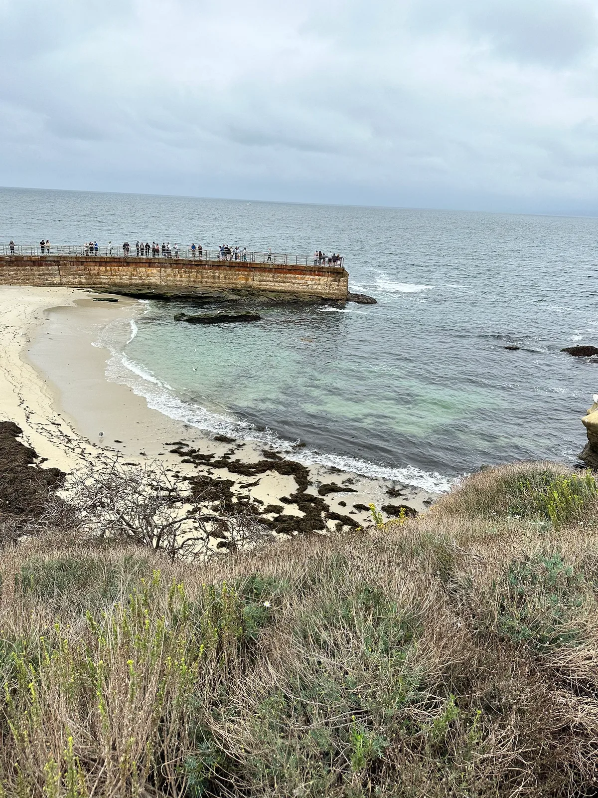 Playa de Children's Pool, San Diego, California Coast, Estados Unidos — 5