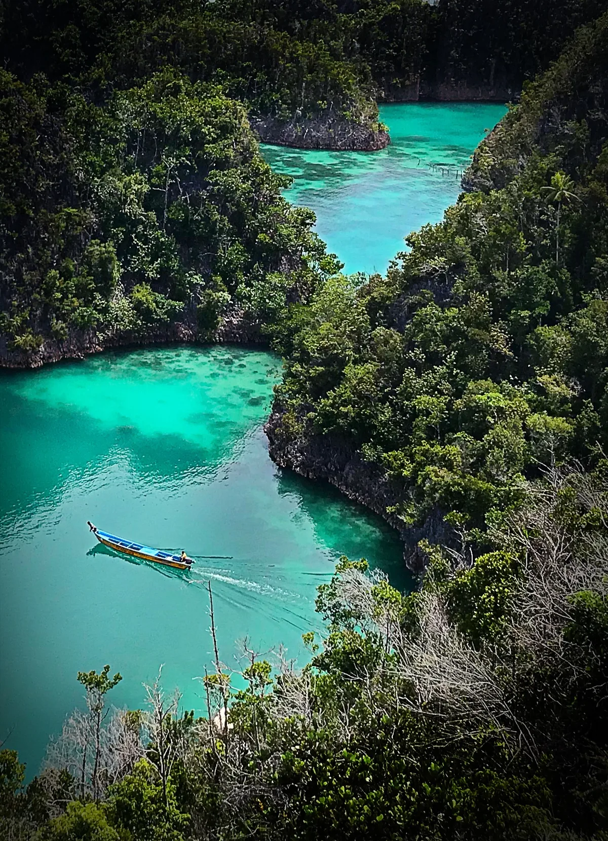 Plage de Pianemo, Waigeo Barat Kepulauan, West Papua, Indonésie — 3