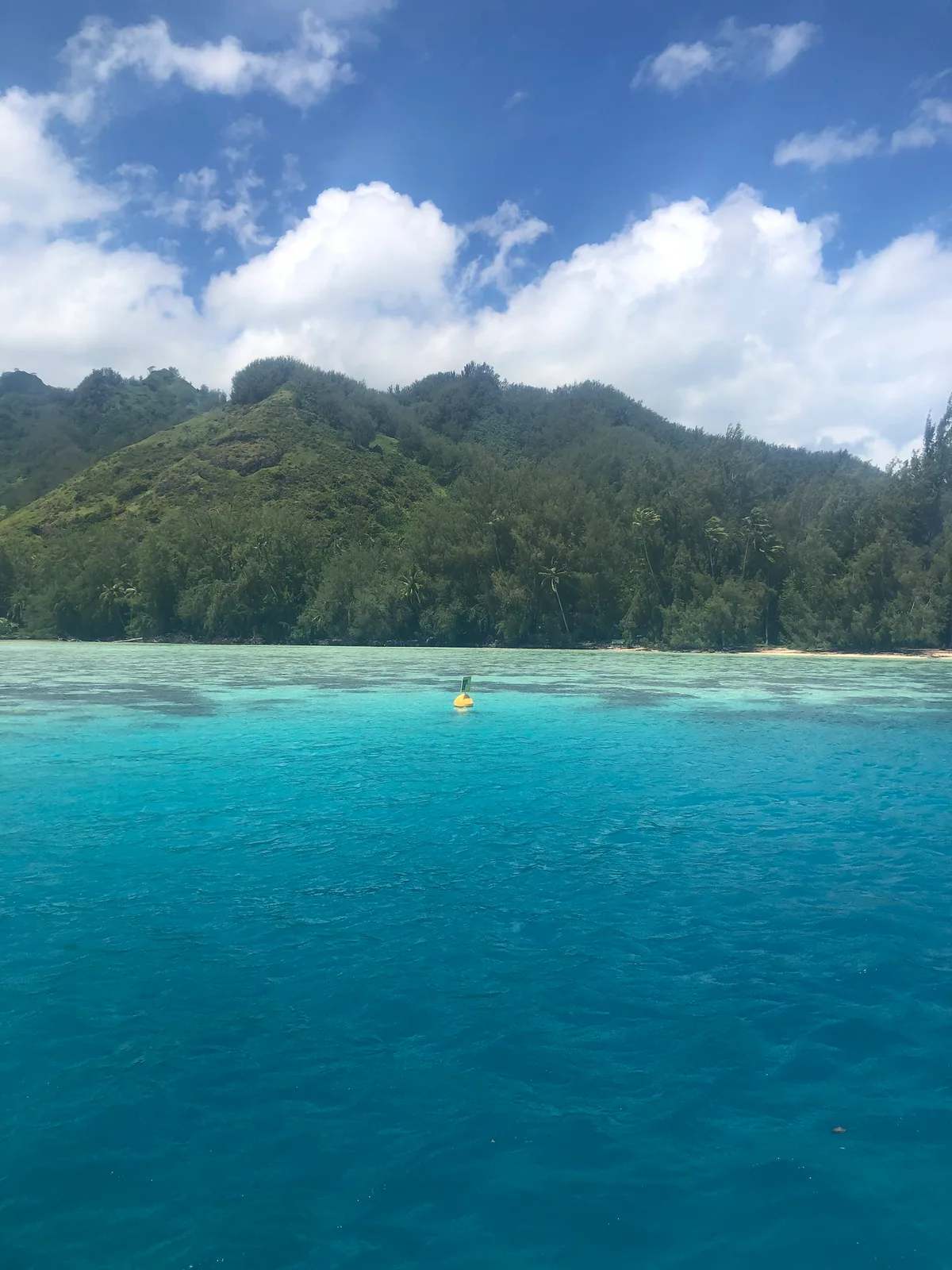 Motu Tiahura Beach, Haapiti, Society Islands, French Polynesia — 4