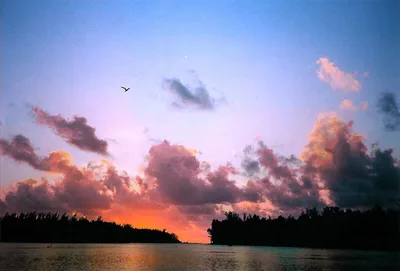 Motu Tiahura Beach, Haapiti, Society Islands, French Polynesia — 5