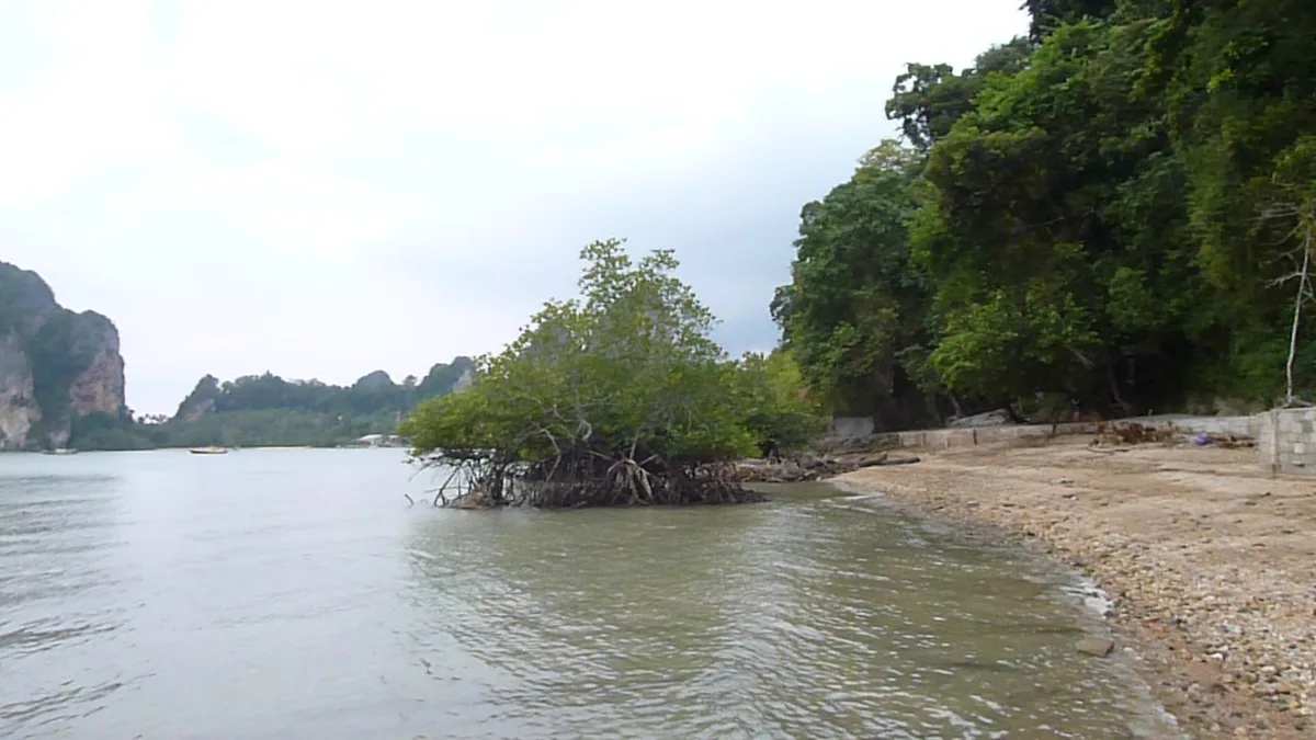 Spiaggia di Railay Est, Mueang Krabi, Andaman Sea Coast, Thailandia — 5