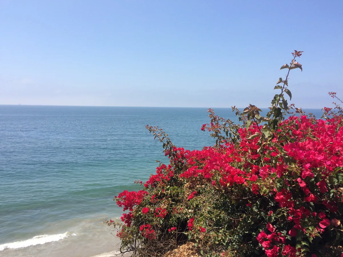 Summerland Beach, Summerland, California Coast, États-Unis — 2