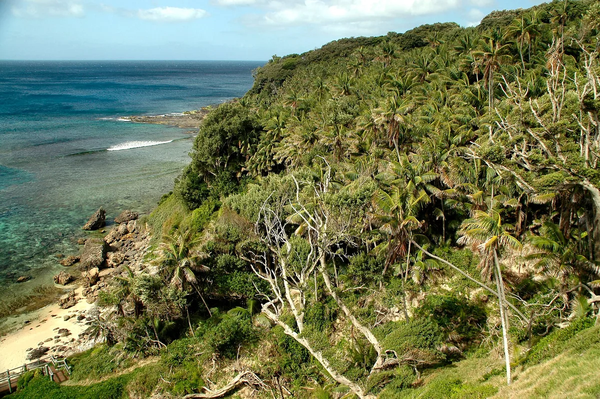 Plage de Transit Hill, Lord Howe Island, Australian Pacific Islands, Australie — 3