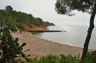 Platja de Cap Roig