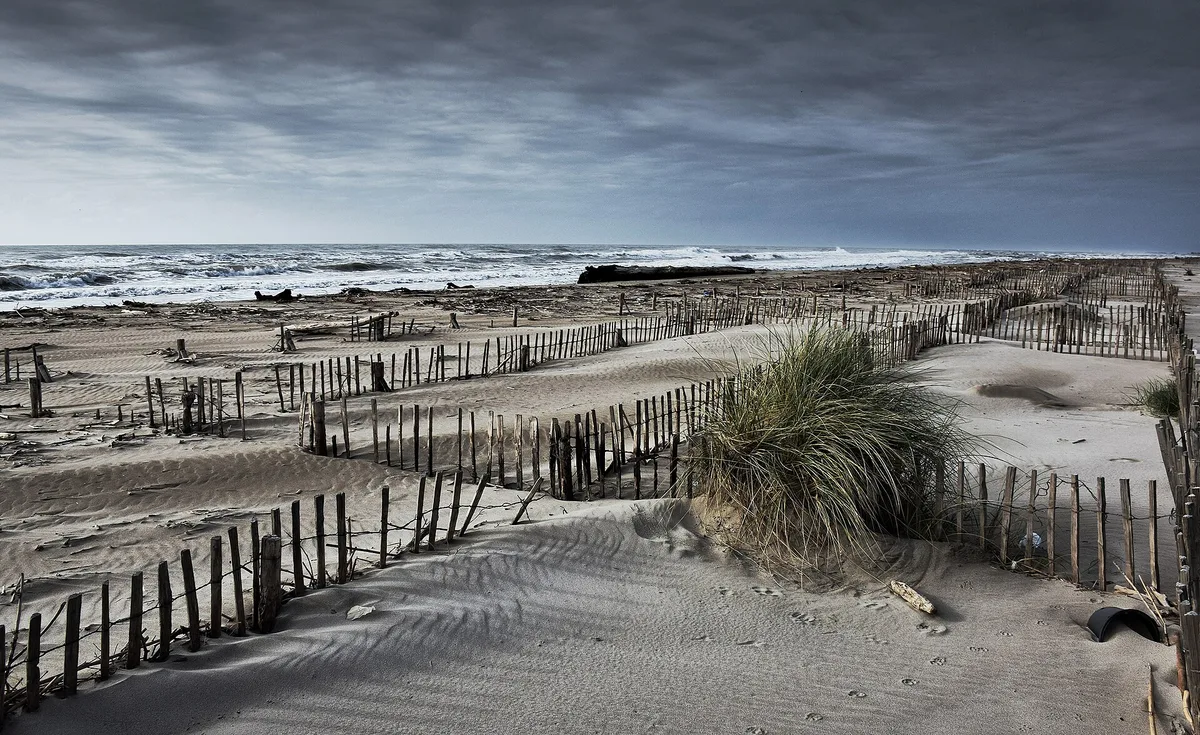 Spiaggia di Piémanson – Plage d’Arles, Arles, Provence-Alpes-Côte d'Azur, Francia — 4