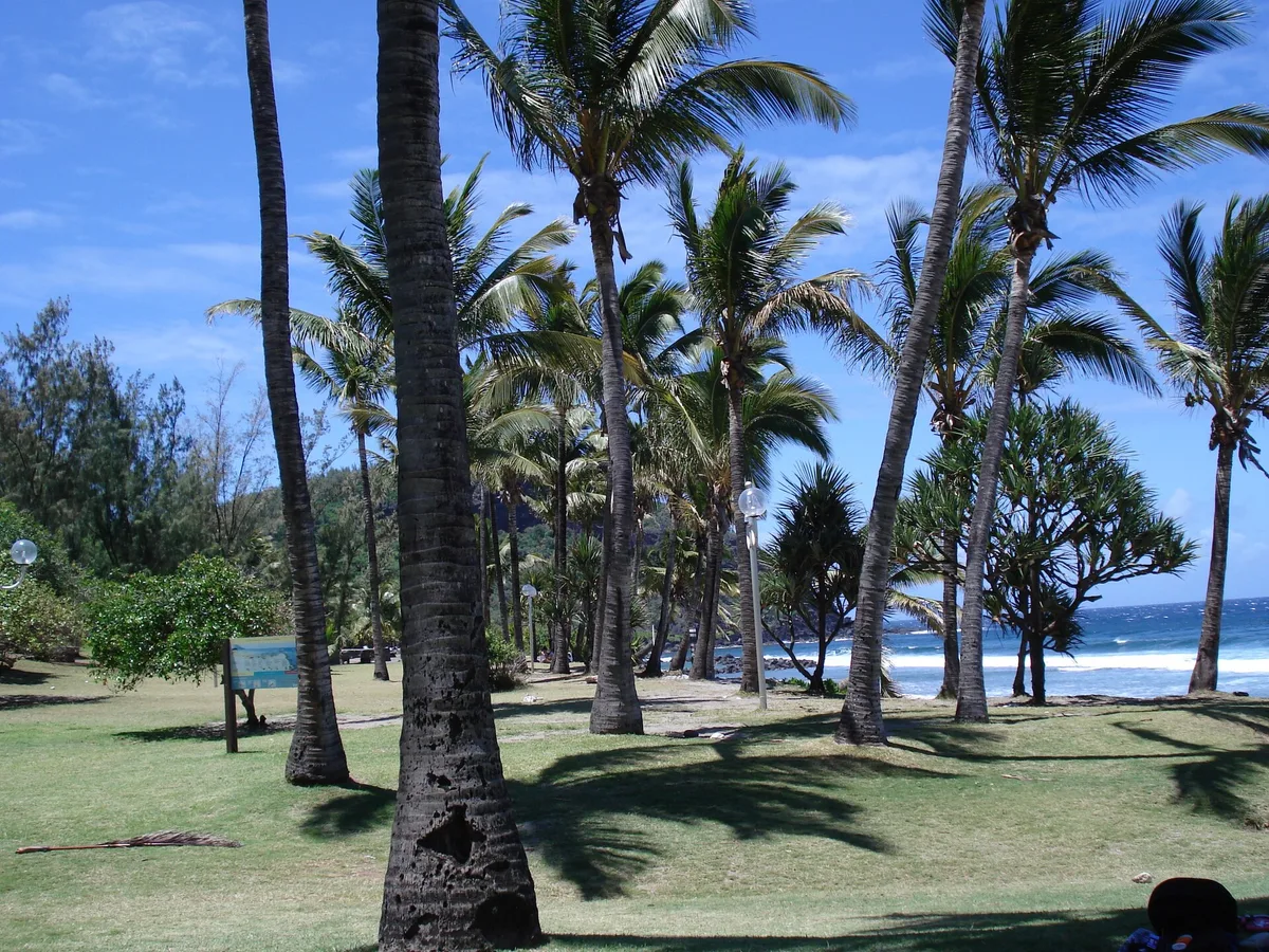 Playa de Grande Anse, Petite-Île, Réunion, Francia — 4